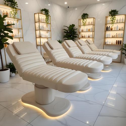 Electric Facial Bed